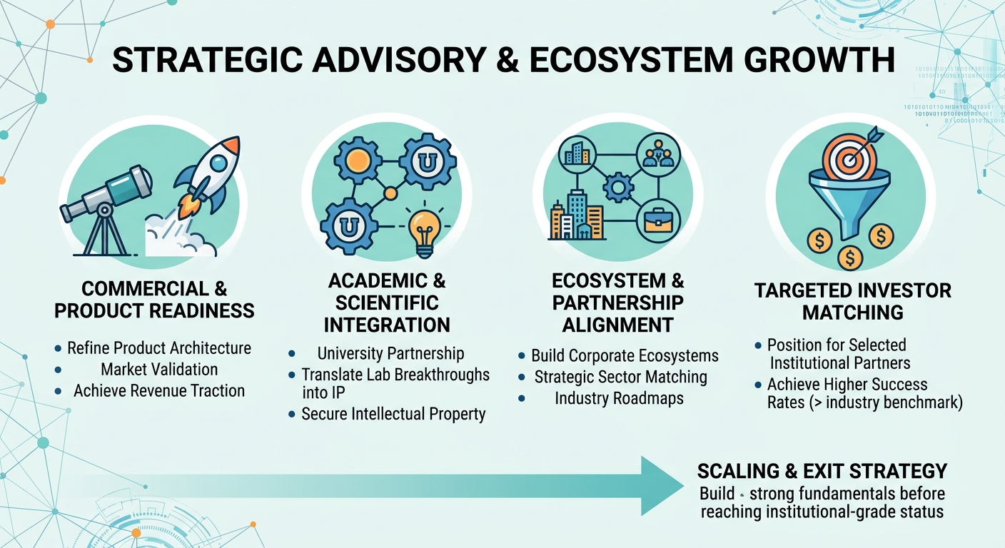 Strategic Advisory Beyond Traditional Venture Capital for Scale-Ups and Research Spin-Outs Poland
